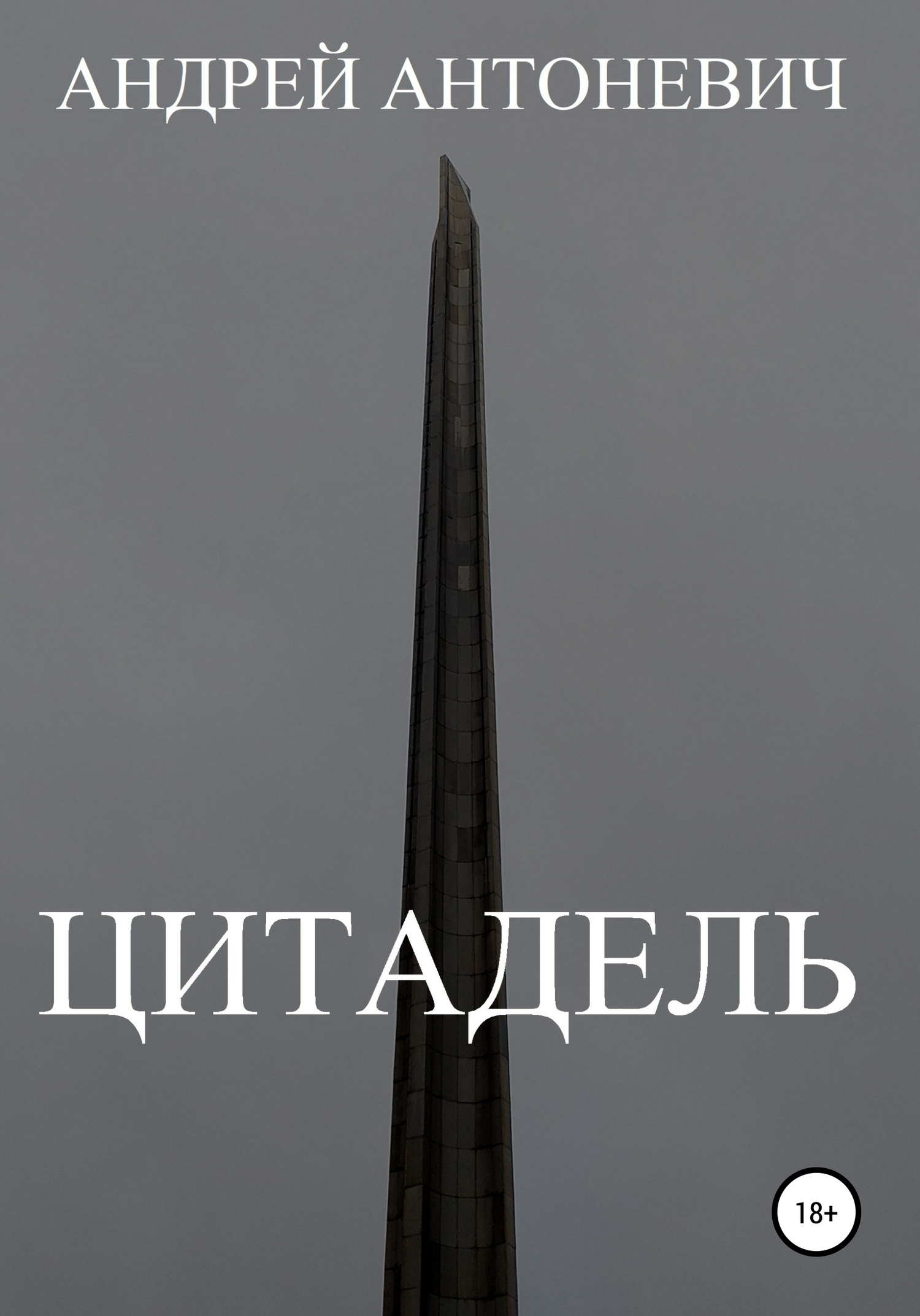 читать Цитадель