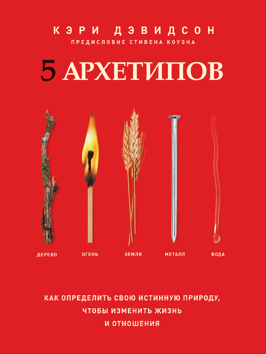читать 5 архетипов. Дерево. Огонь. Земля. Металл. Вода. Как определить свою истинную природу, чтобы изменить жизнь и отношения