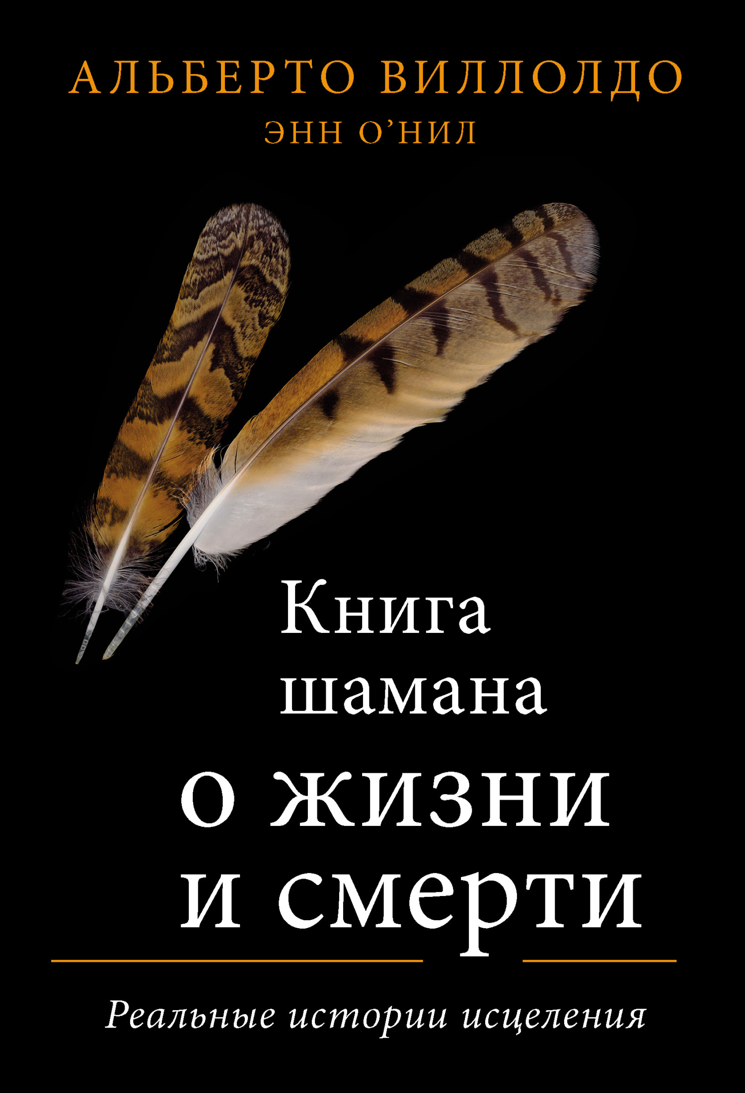 читать Книга шамана о жизни и смерти. Реальные истории исцеления