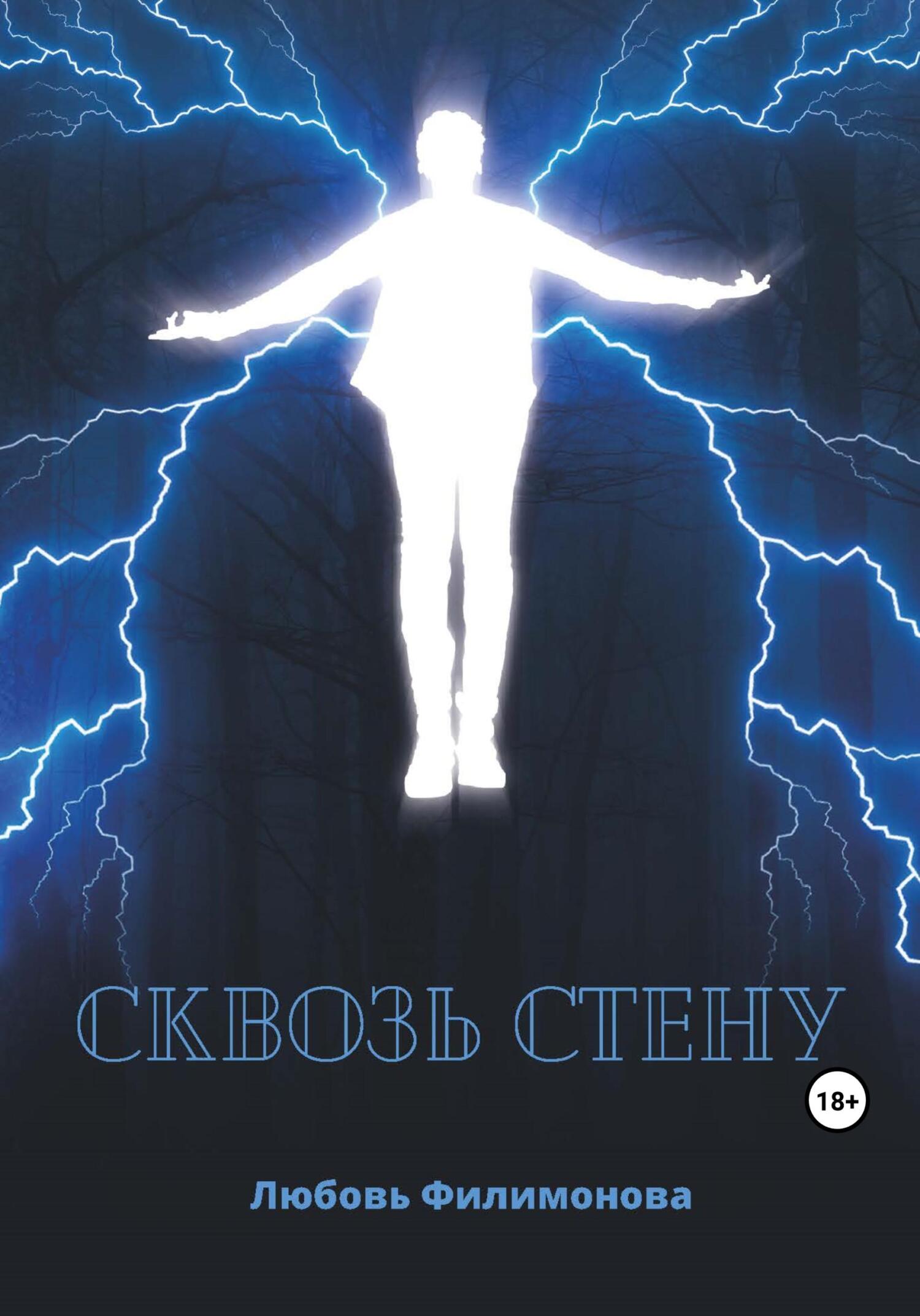 читать Сквозь стену
