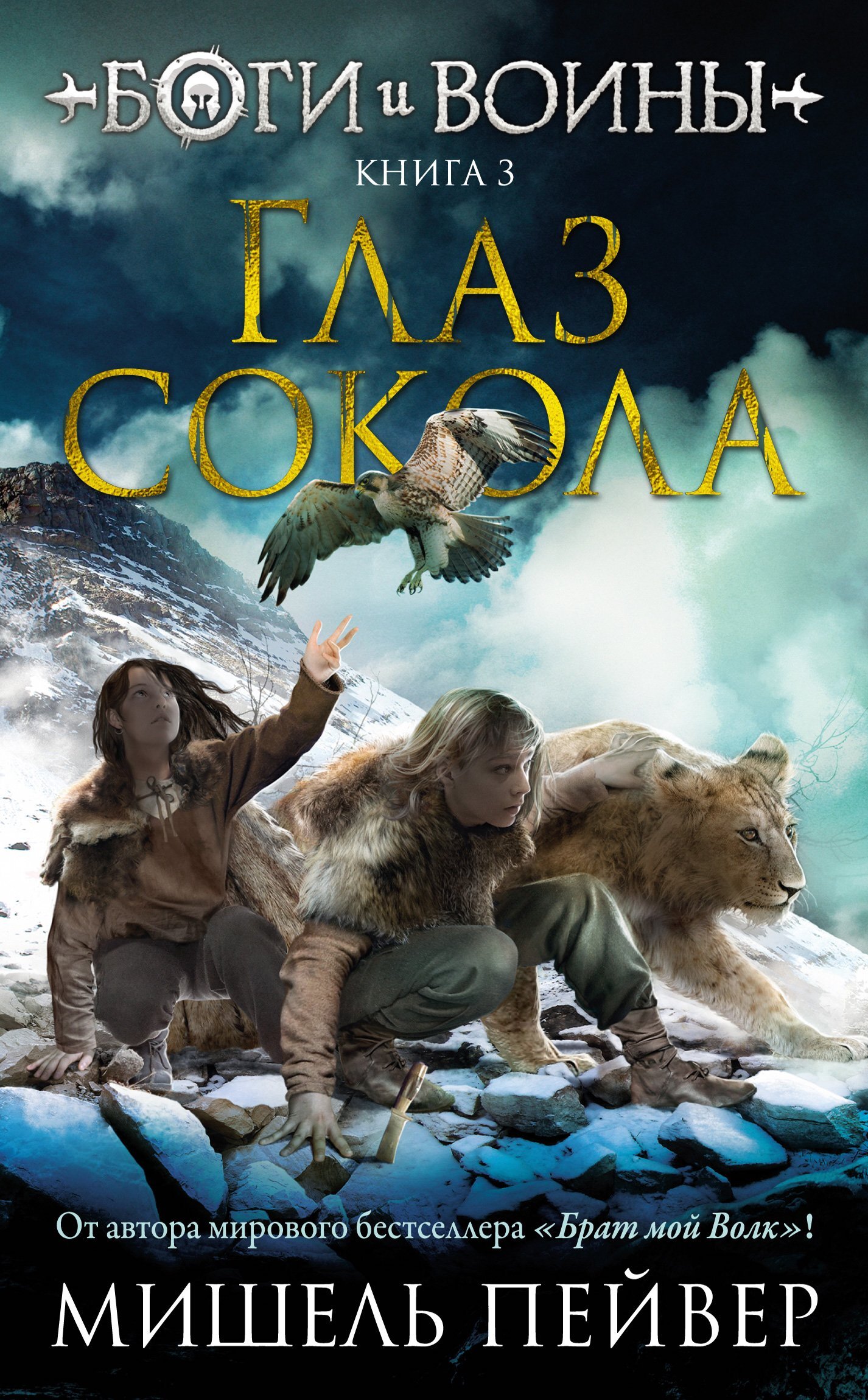 читать Глаз сокола