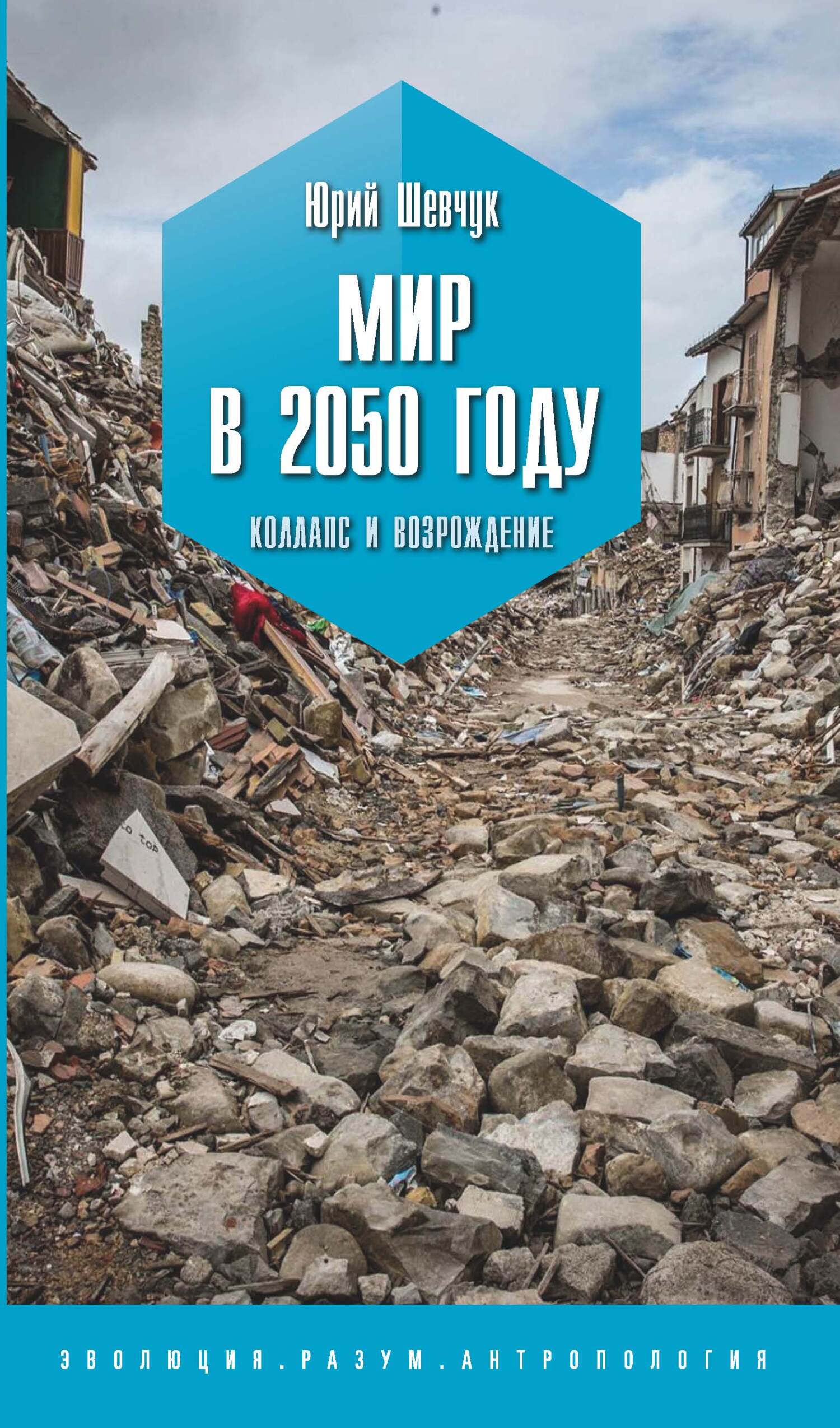 читать Мир в 2050 году. Коллапс и возрождение