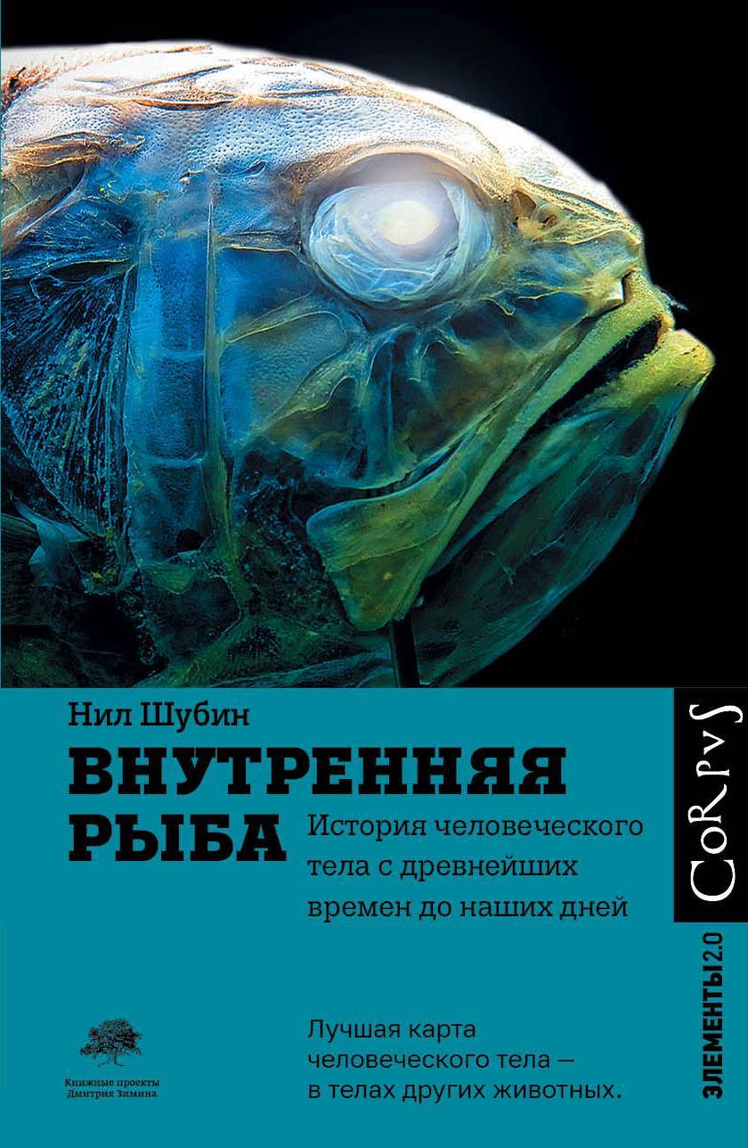 читать Внутренняя рыба. История человеческого тела с древнейших времен до наших дней