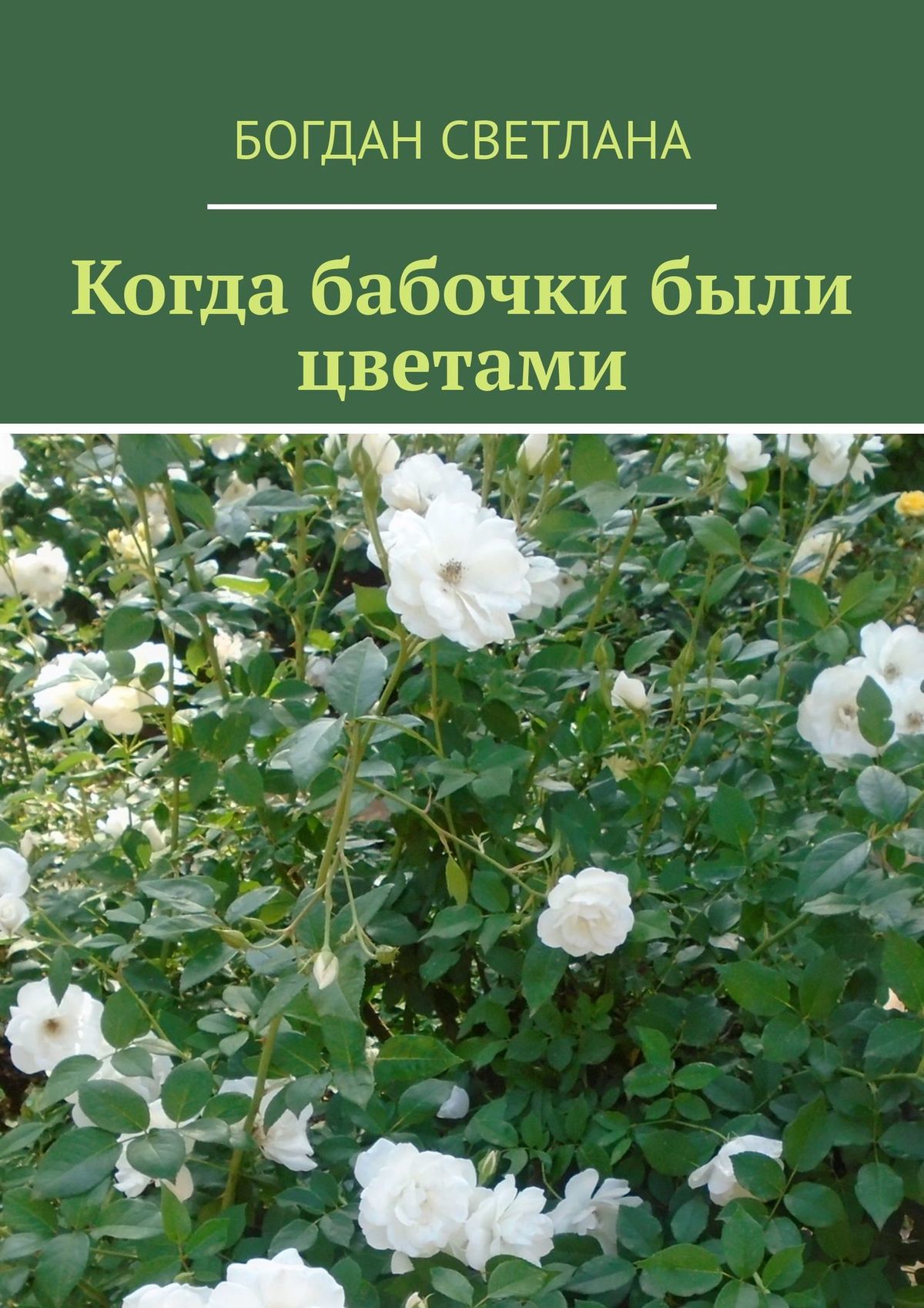 читать Когда бабочки были цветами