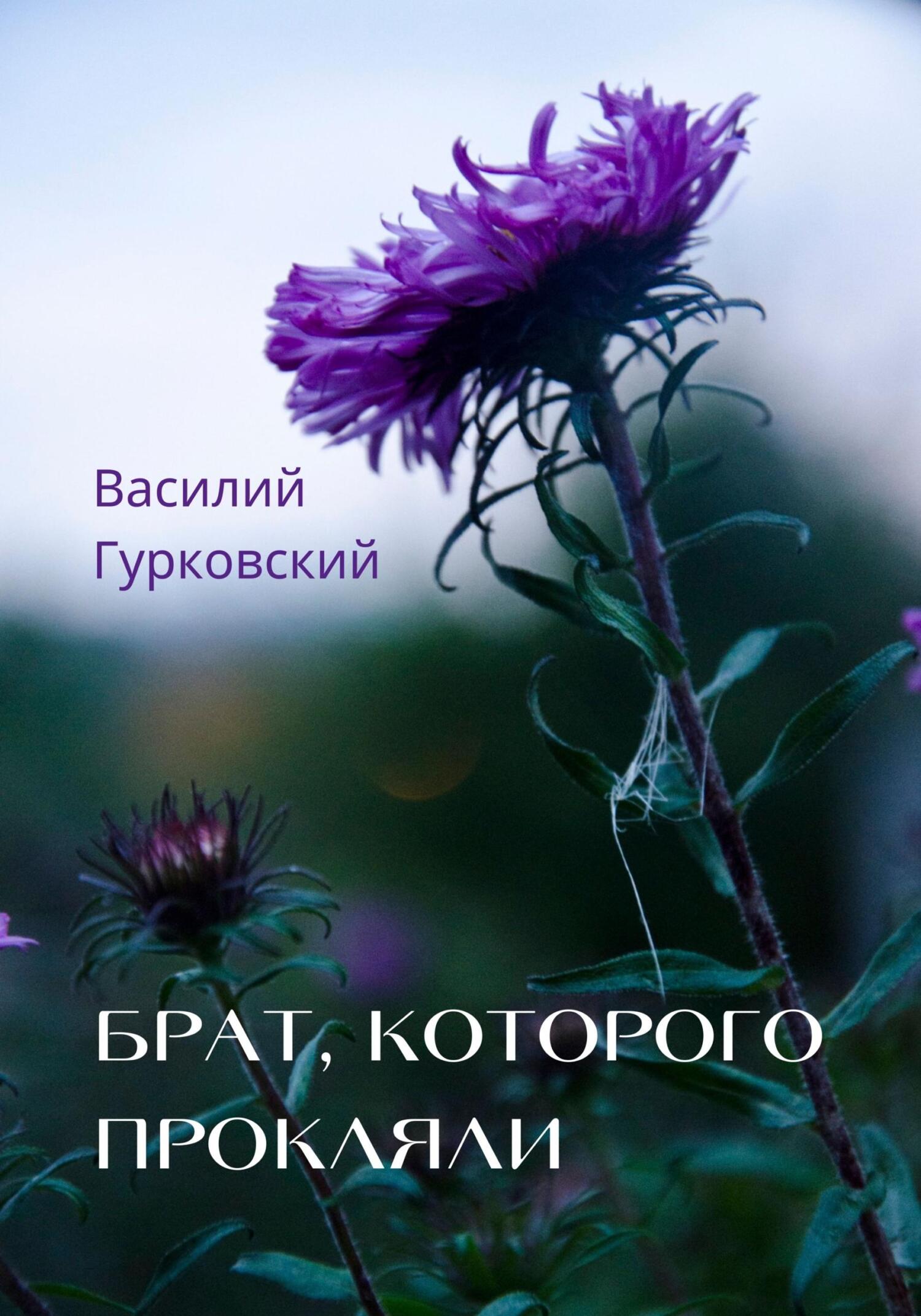 читать Брат, которого прокляли