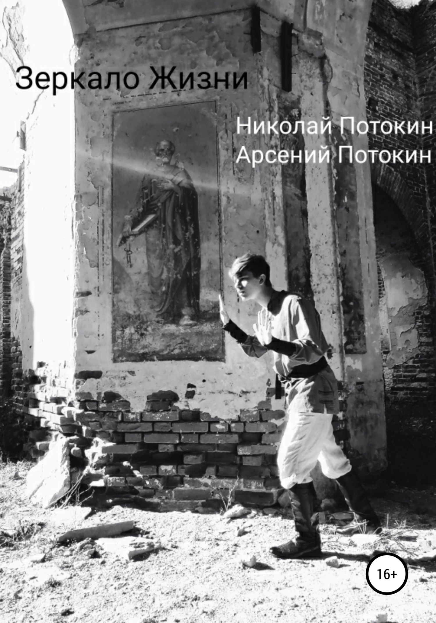 читать Зеркало Жизни