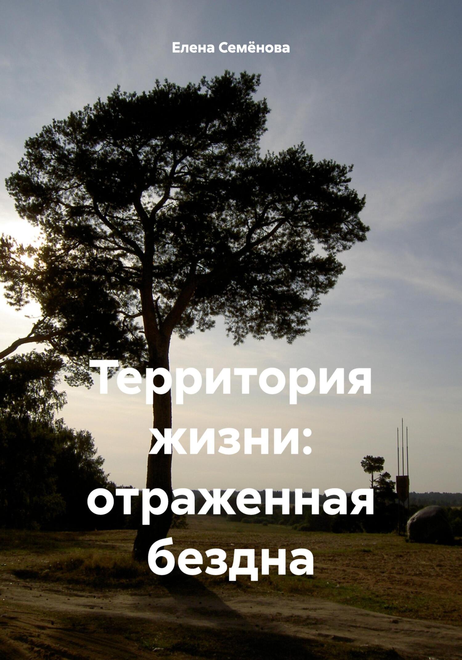 читать Территория жизни: отраженная бездна