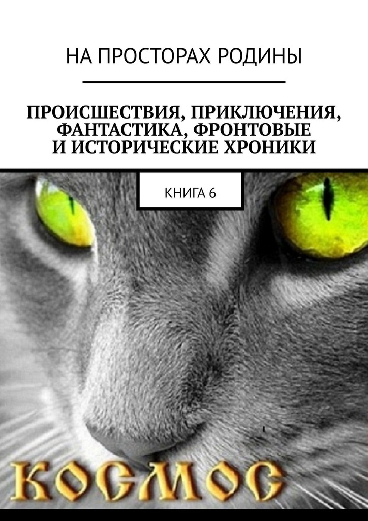 читать Происшествия, приключения, фантастика, фронтовые и исторические хроники. Книга 6