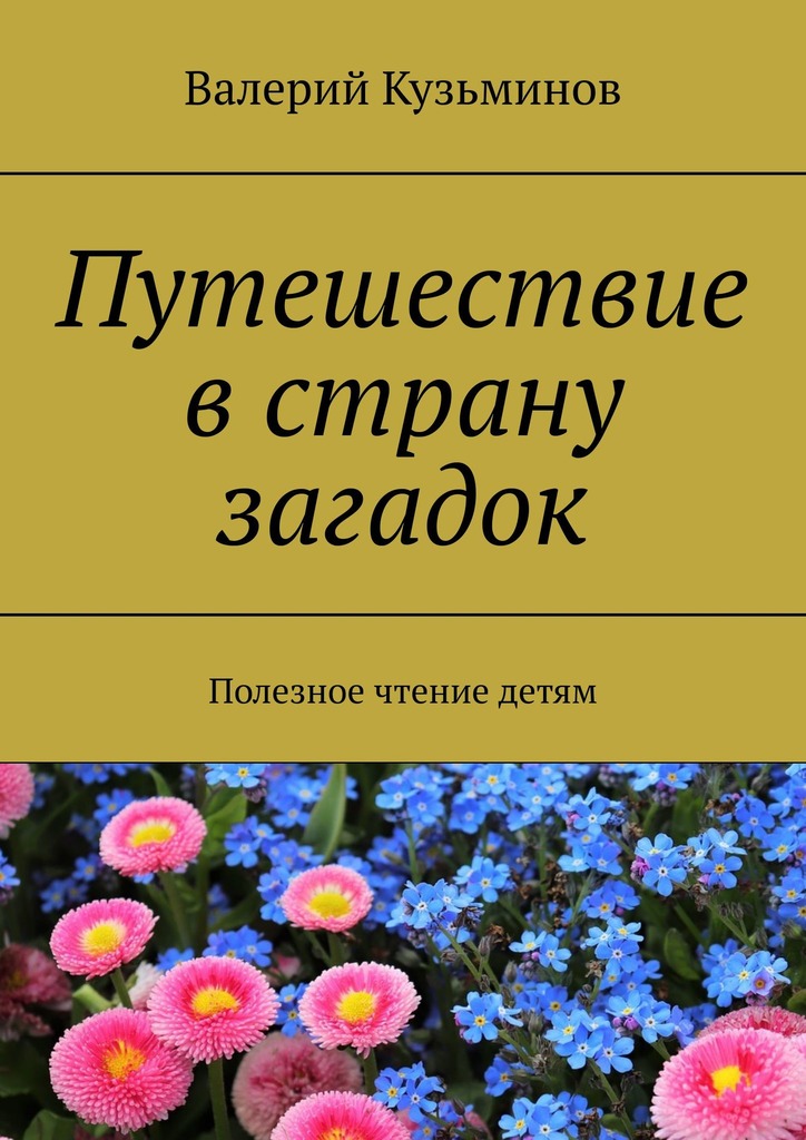 читать Путешествие в страну загадок. Полезное чтение детям