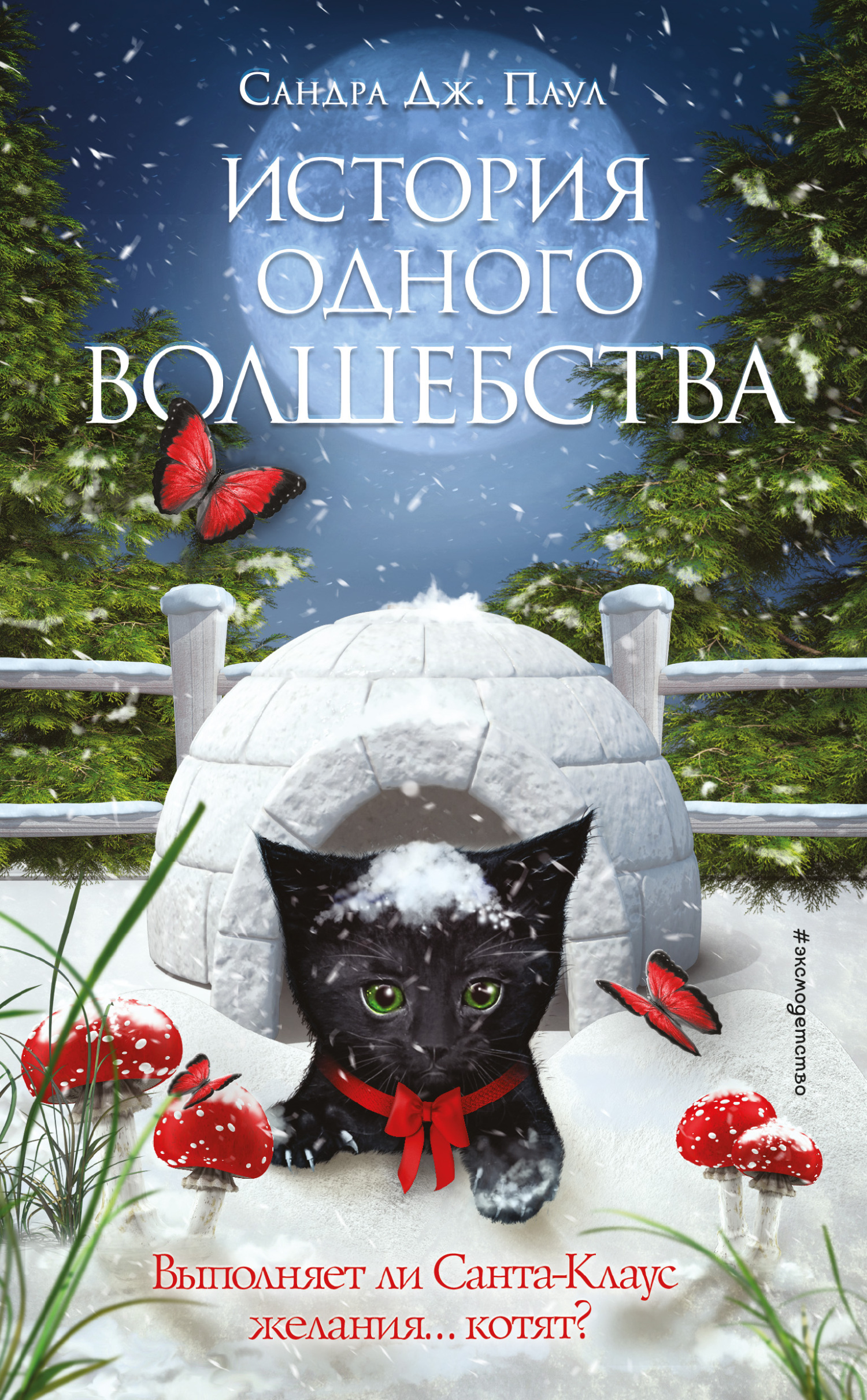 читать История одного волшебства