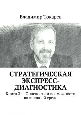 читать Стратегическая экспресс-диагностика. Книга 2  Опасности и возможности во внешней среде