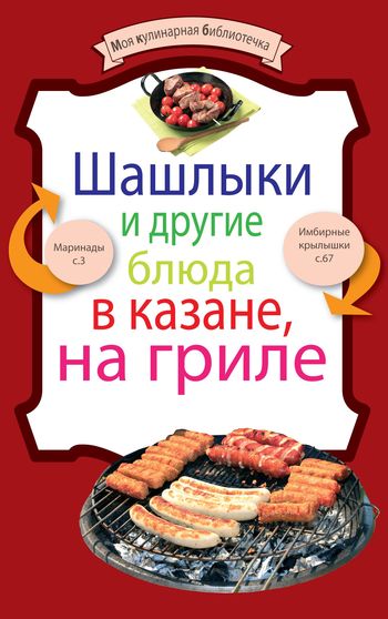 читать Шашлыки и другие блюда в казане, на гриле