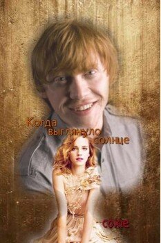 читать Когда выглянуло солнце