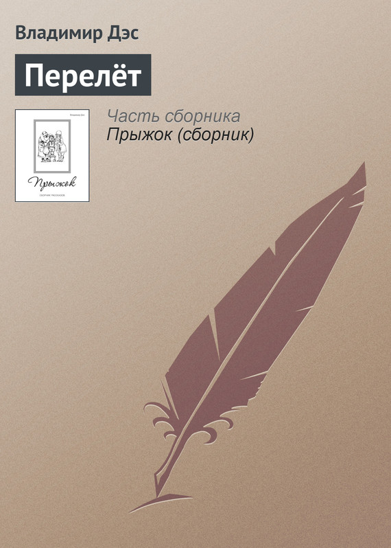 читать Перелёт