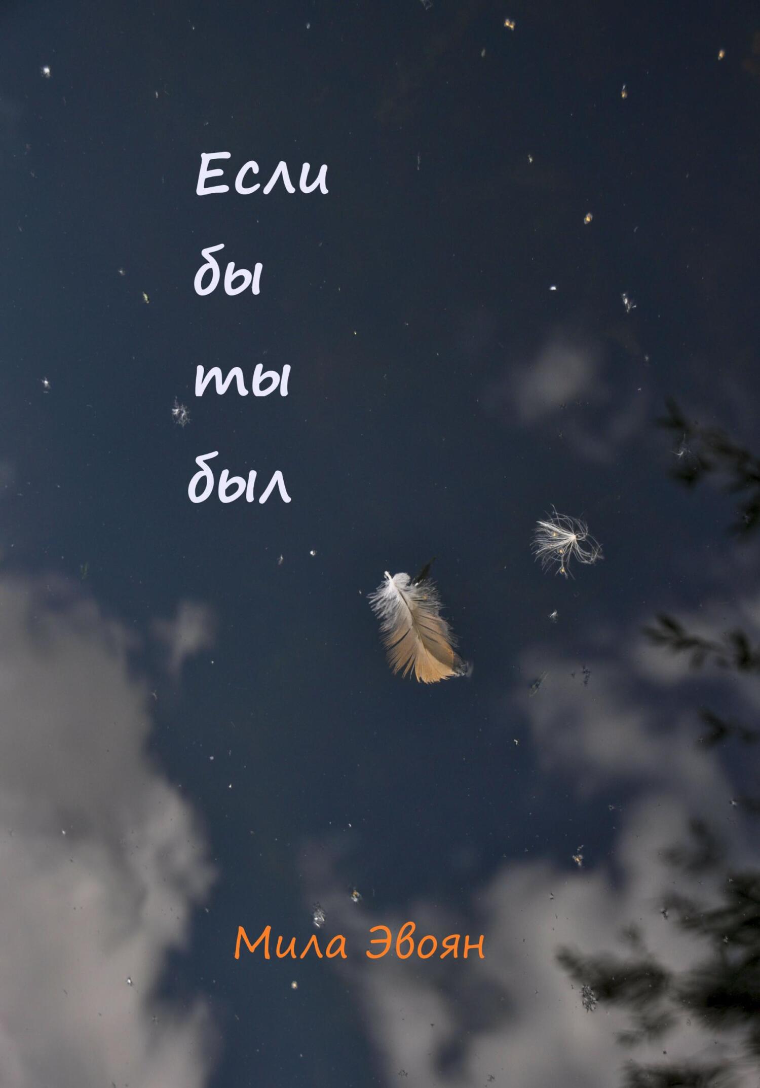 читать Если бы ты был