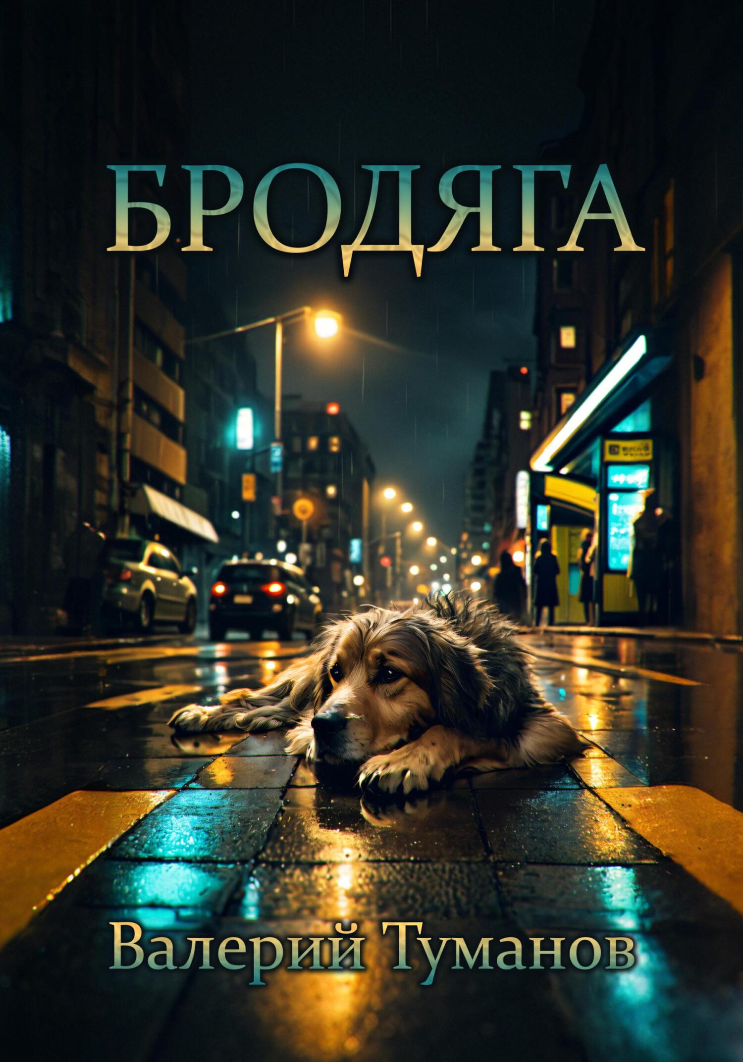 читать Бродяга