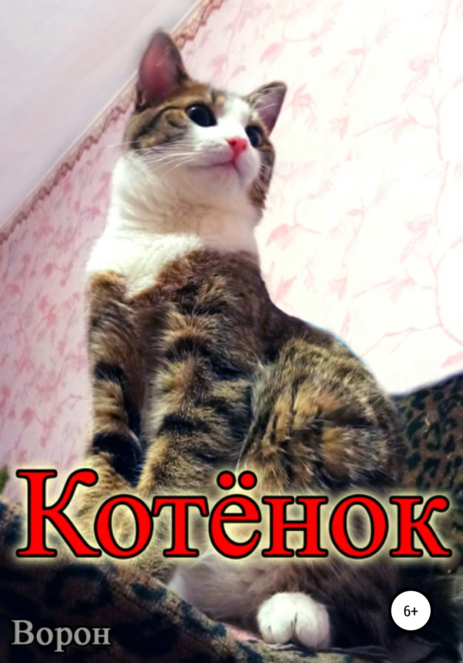 читать Котёнок