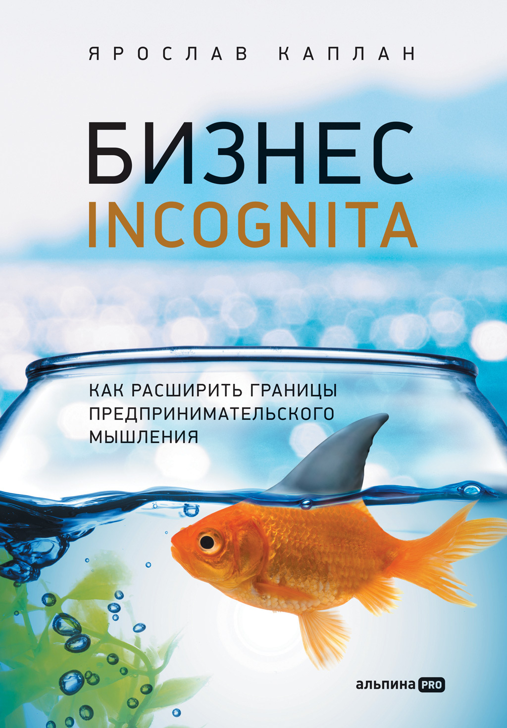 читать Бизнес incognita. Как расширить границы предпринимательского мышления