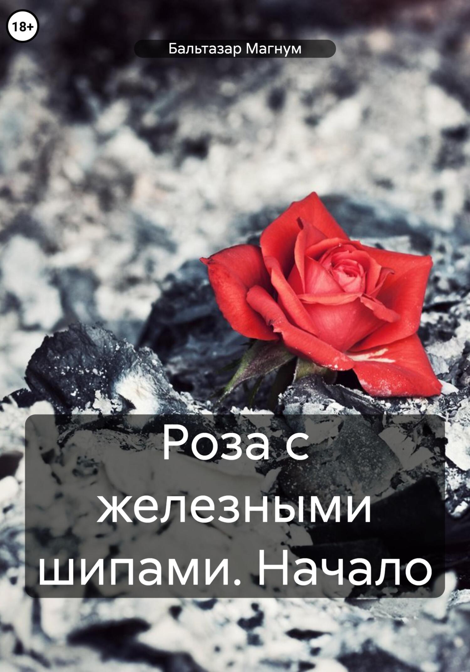 читать Роза с железными шипами: Начало