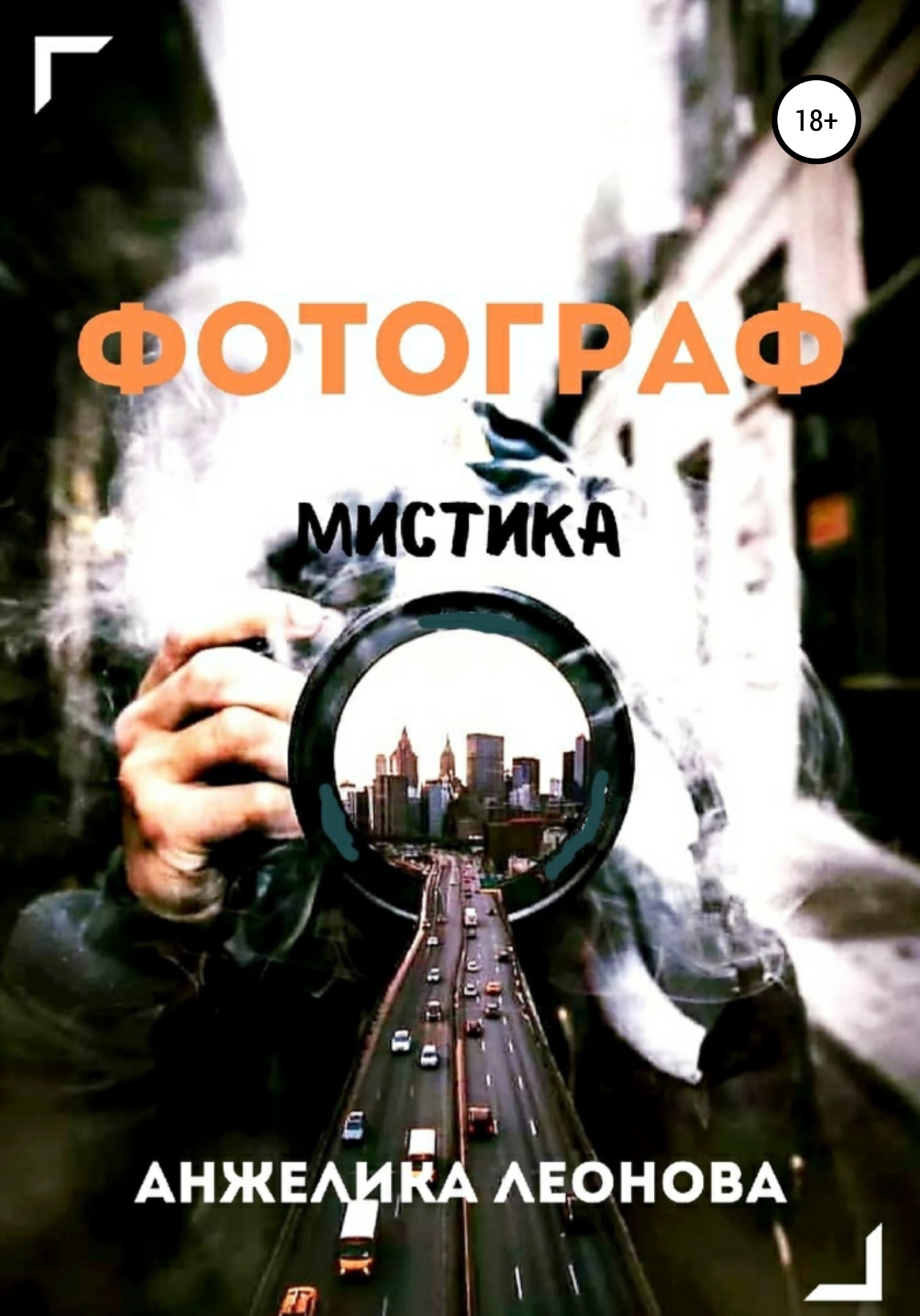 читать Фотограф