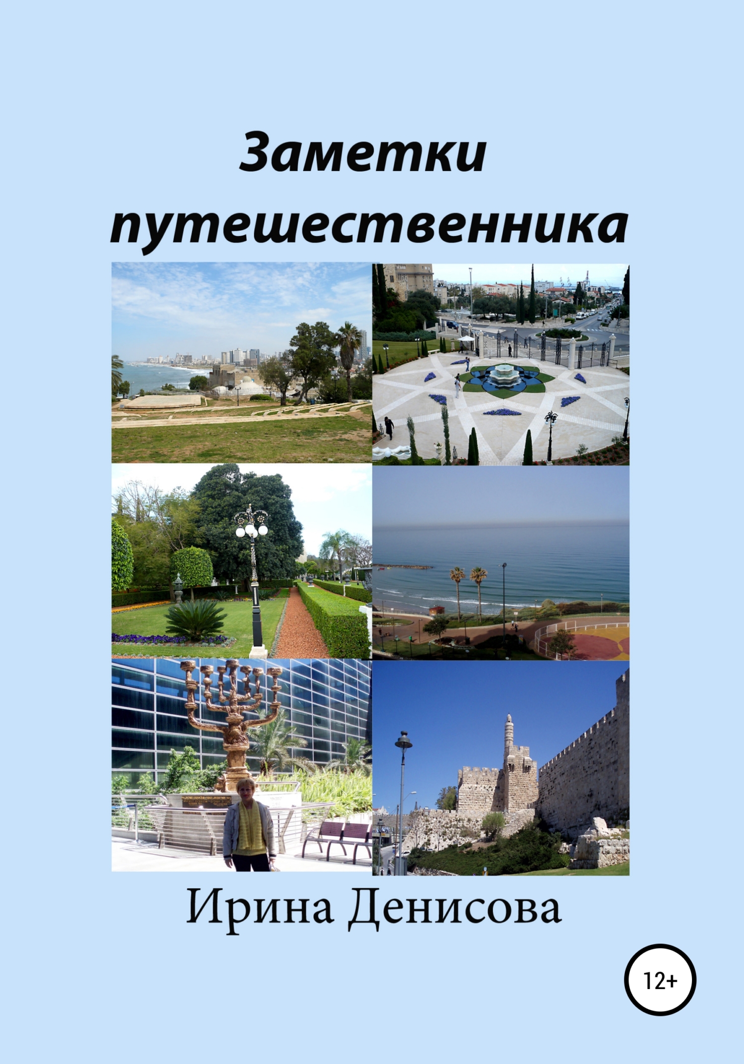 читать Заметки путешественника