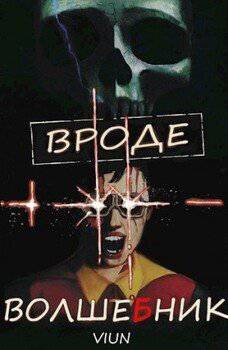 читать Вроде волшебник