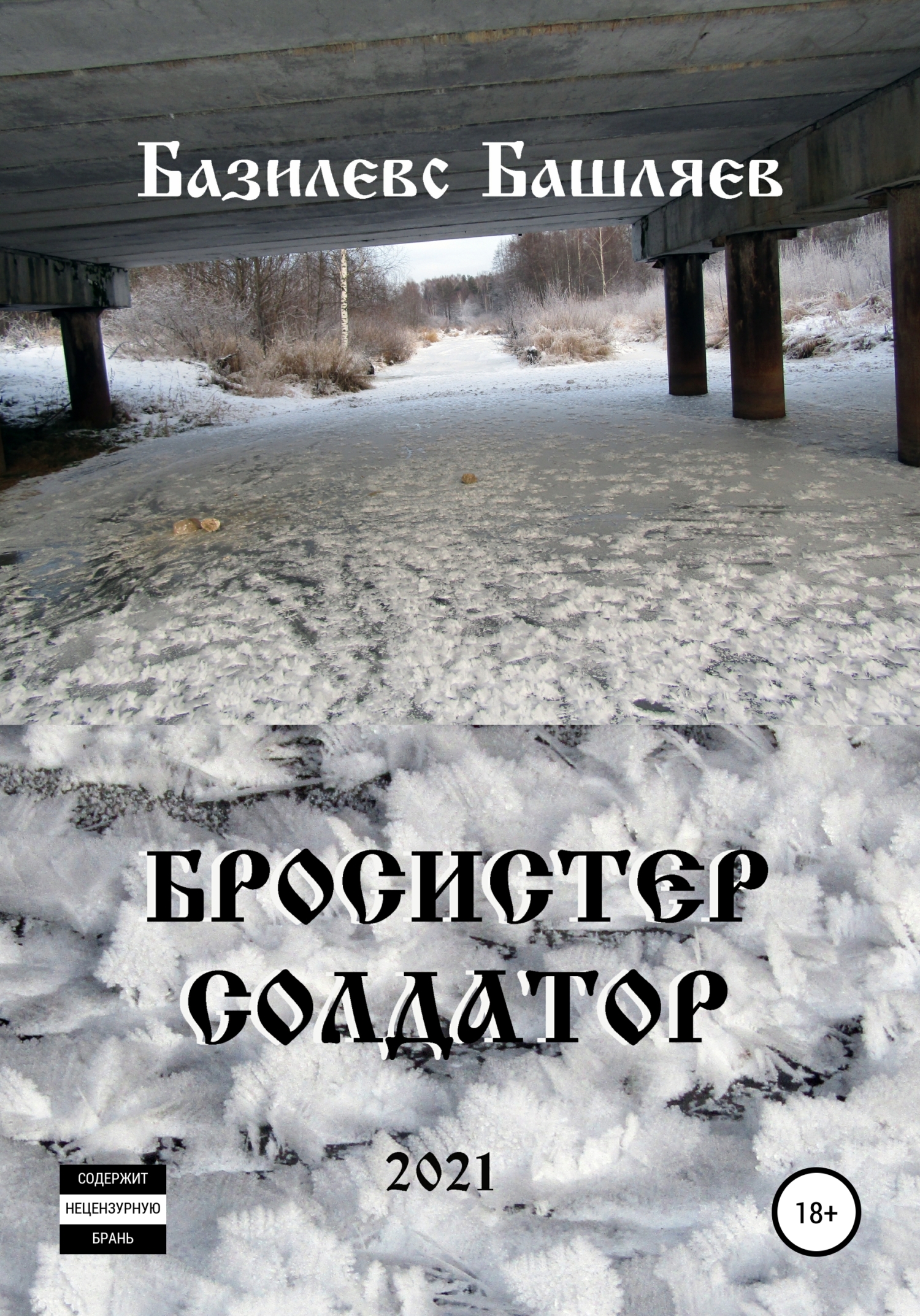 читать Бросистер Солдатор