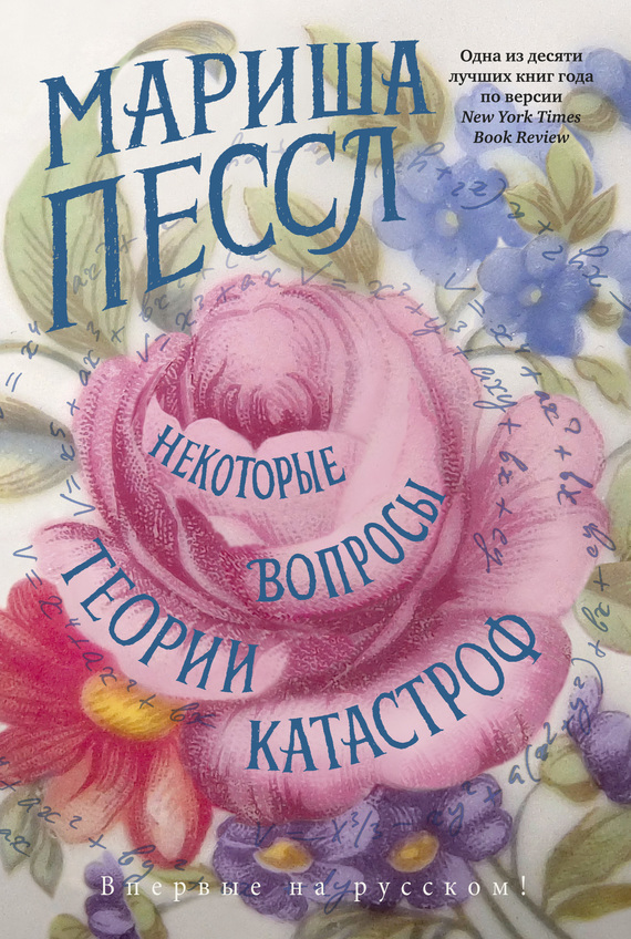 читать Некоторые вопросы теории катастроф