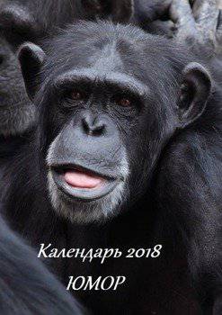 читать Календарь 2018. Юмор