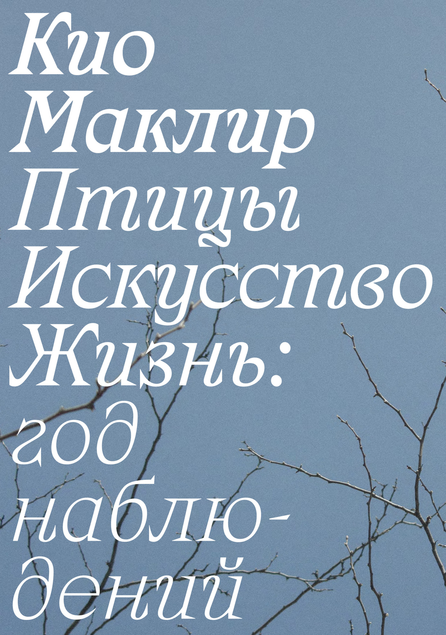 читать Птицы, искусство, жизнь: год наблюдений
