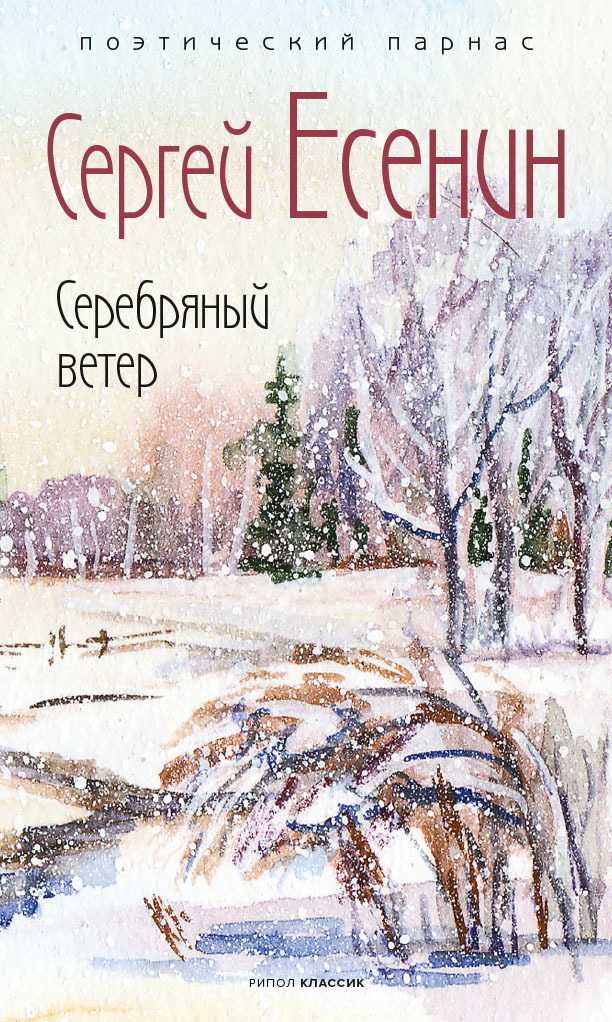 читать Серебряный ветер