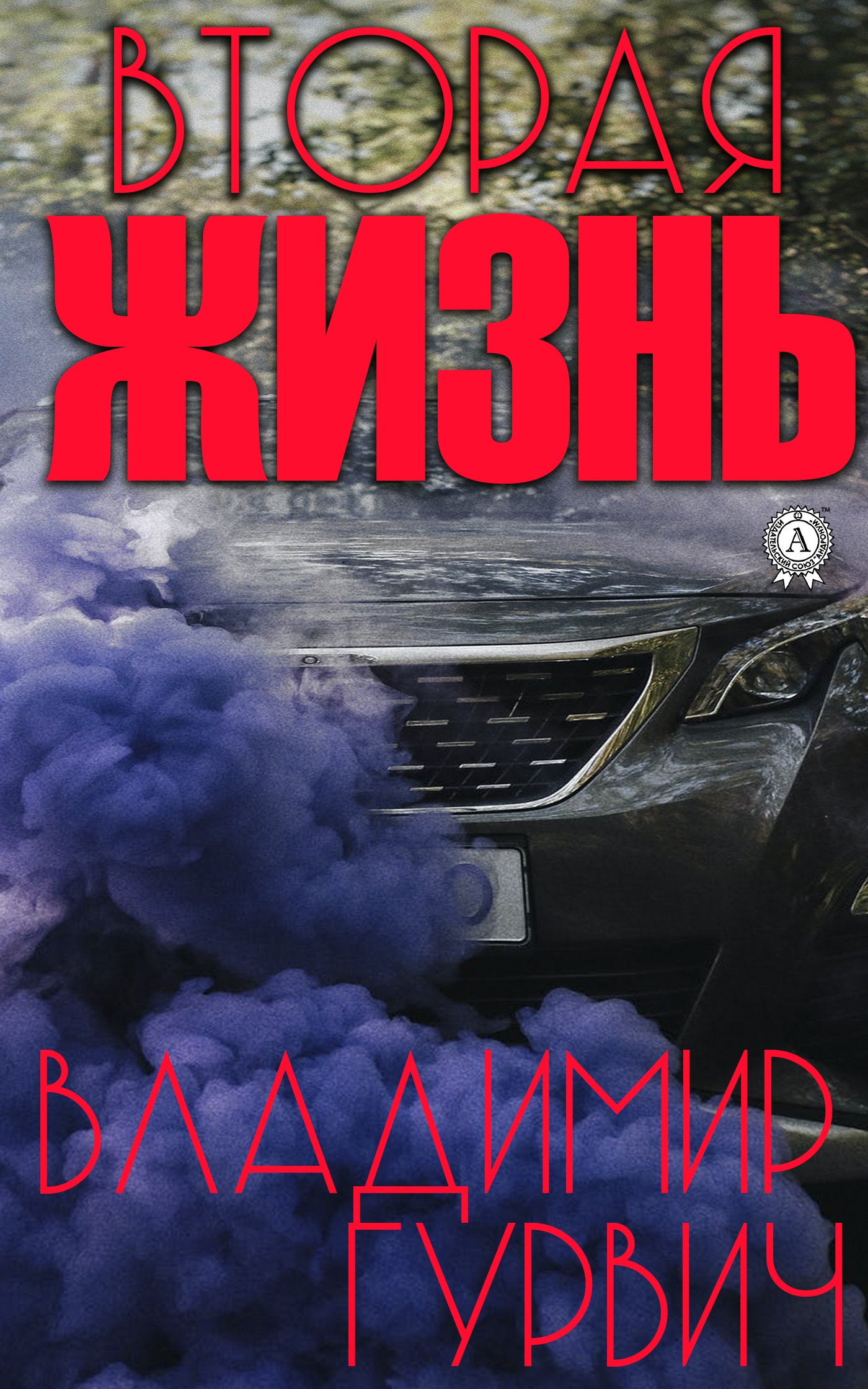 читать Вторая жизнь