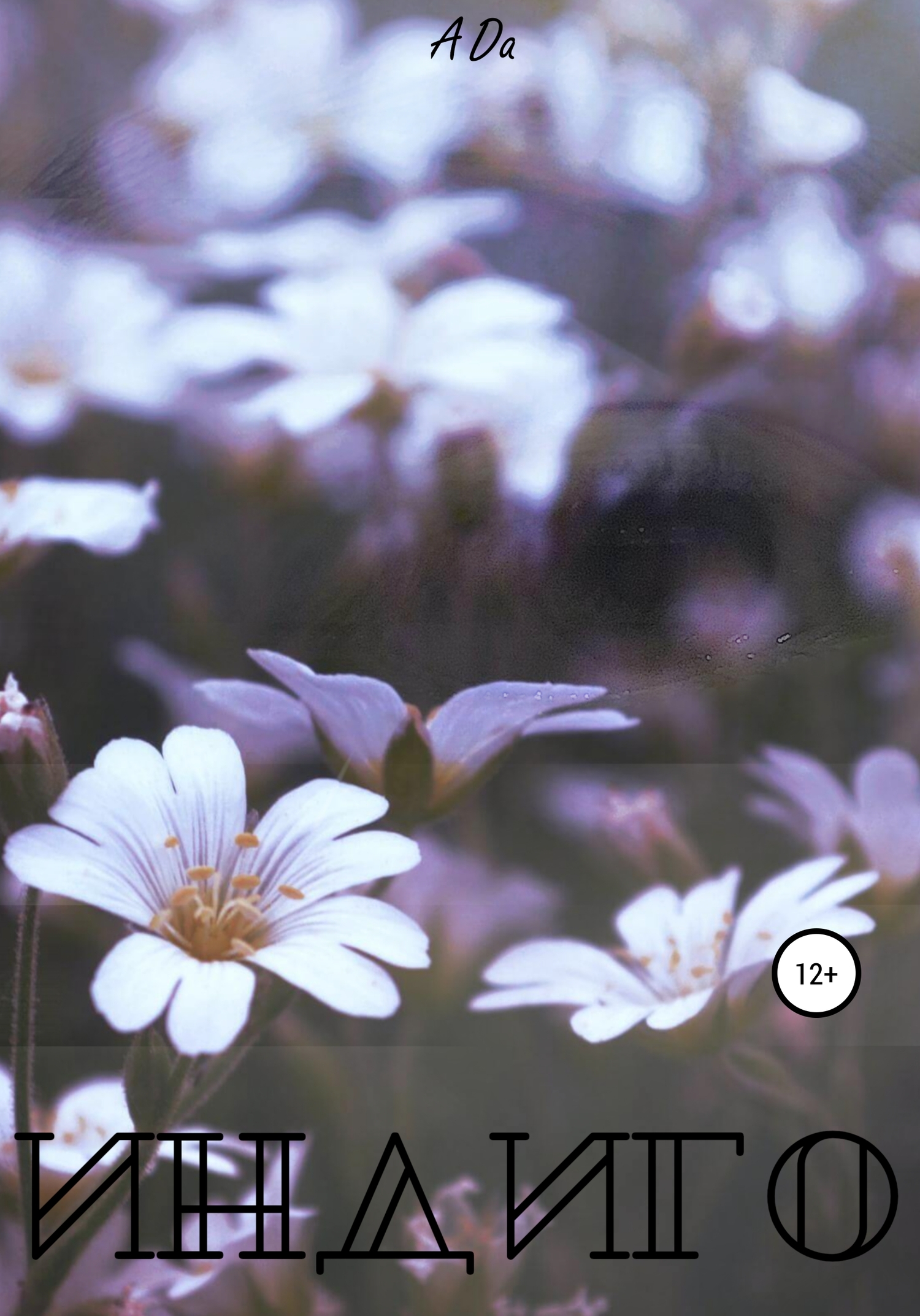 читать Индиго