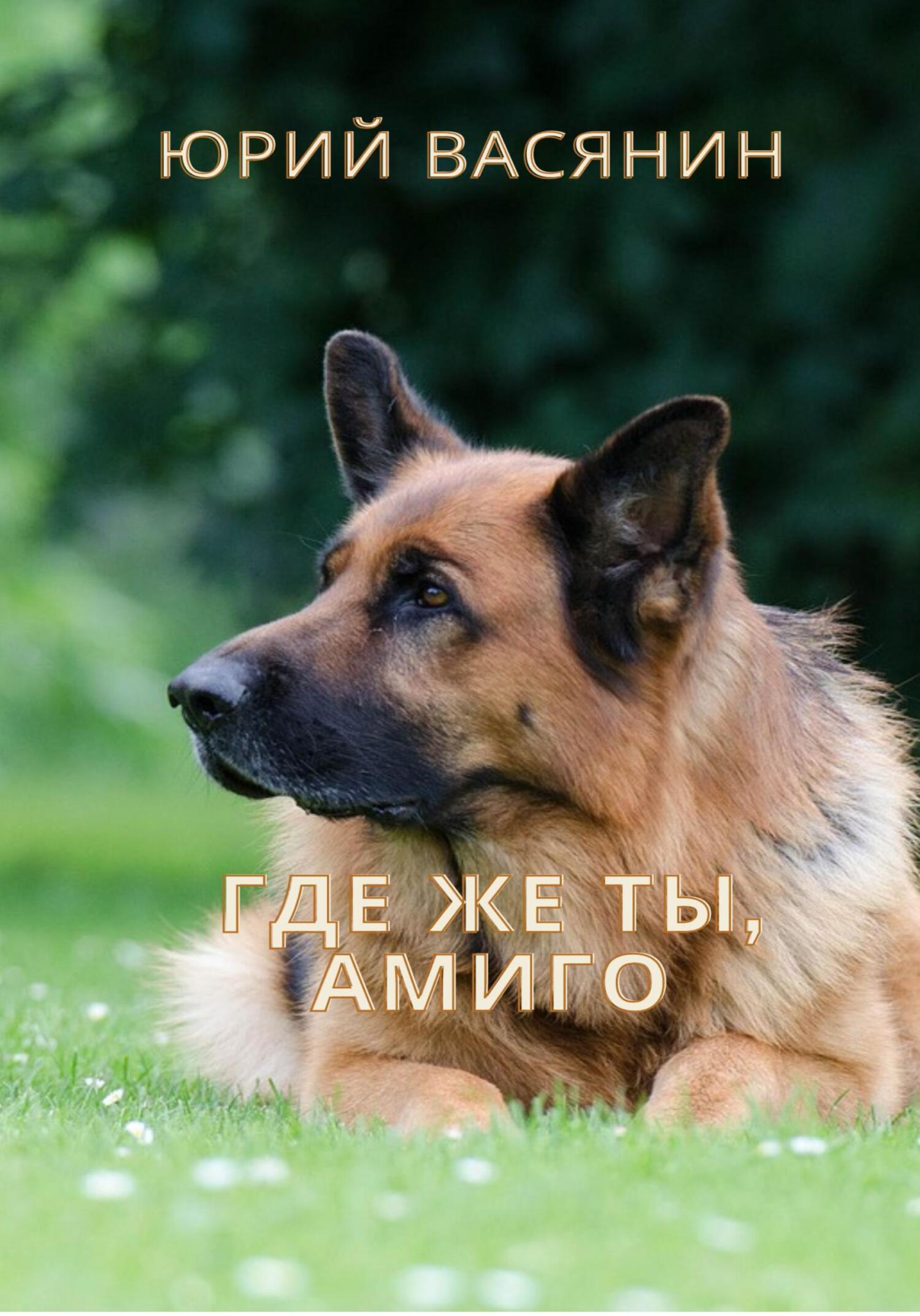 читать Где же ты, Амиго?