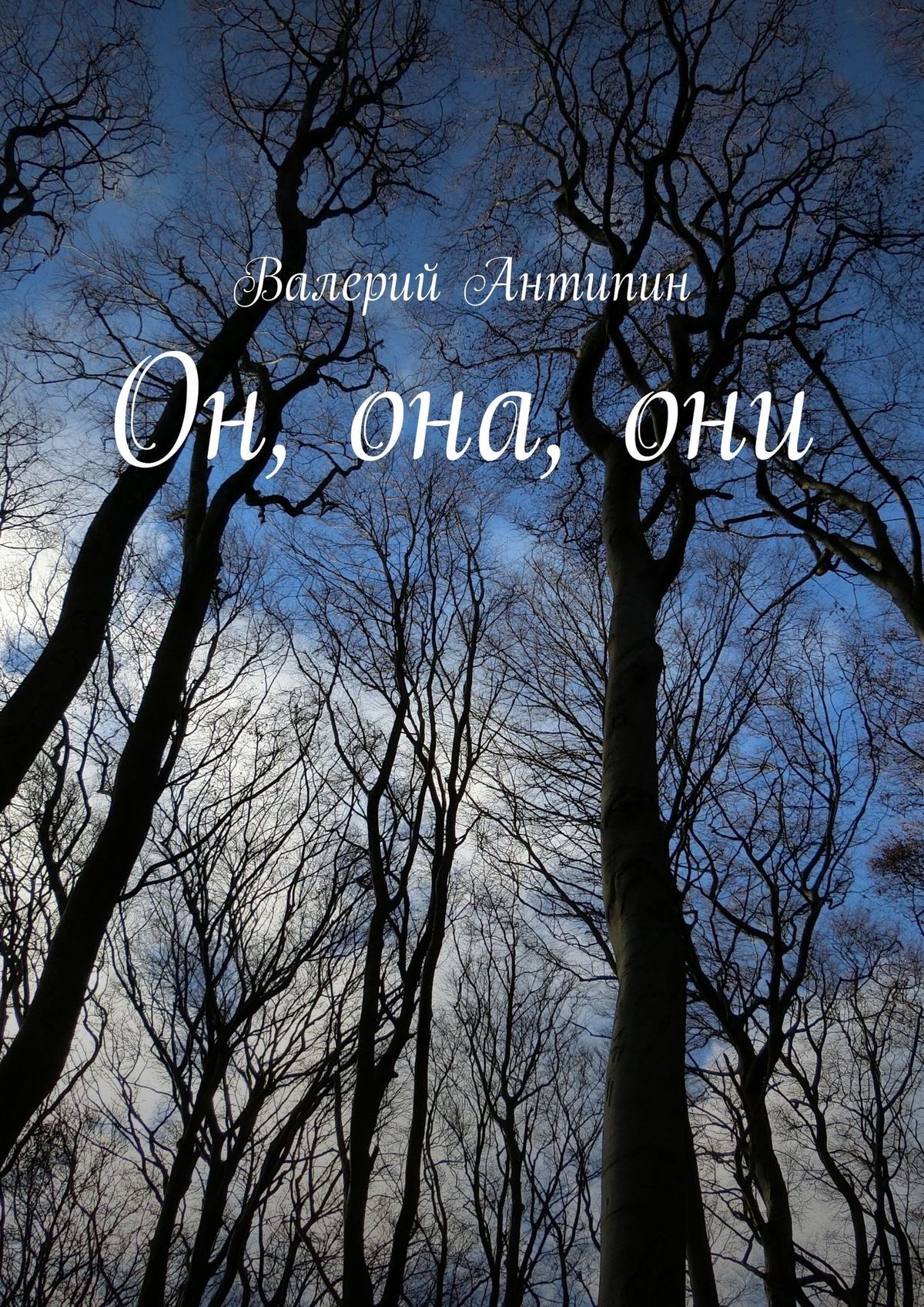 читать Он, она, они