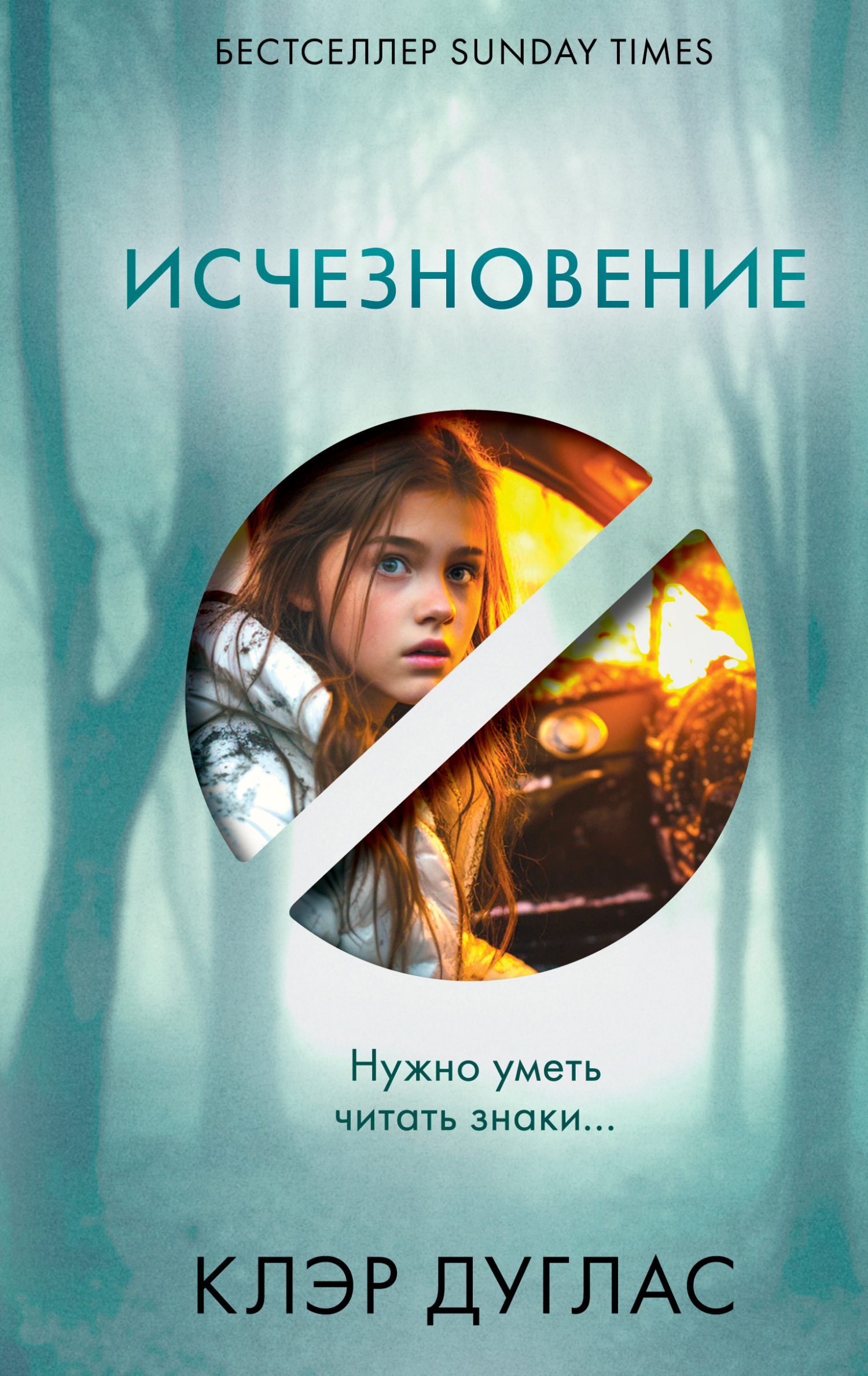 читать Исчезновение