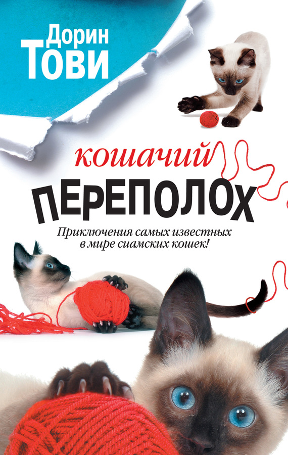 читать Кошачий переполох (сборник)