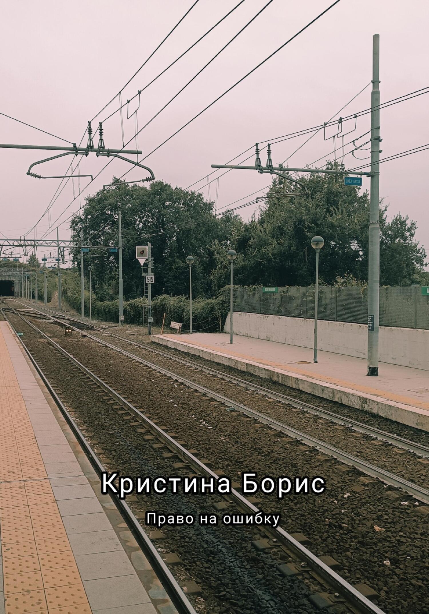 читать Право на ошибку