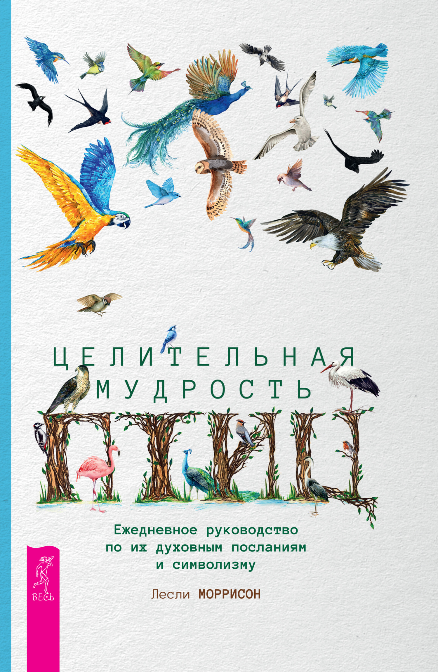 читать Целительная мудрость птиц. Ежедневное руководство по их духовным посланиям и символизму