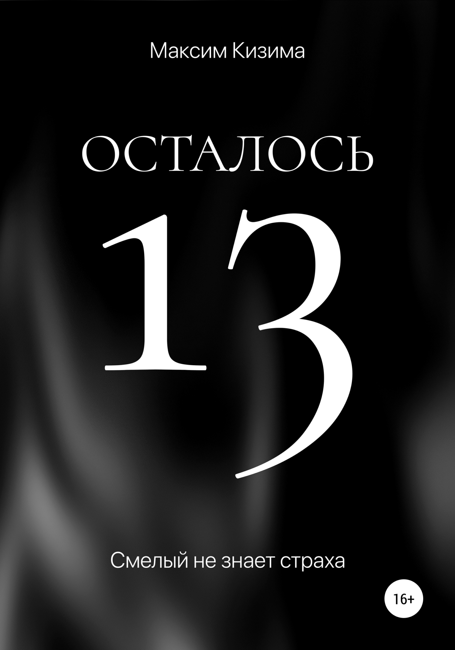читать Осталось 13