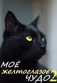 читать Моё желтоглазое чудо. Книга 2