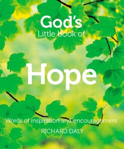 читать Gods Little Book of Hope