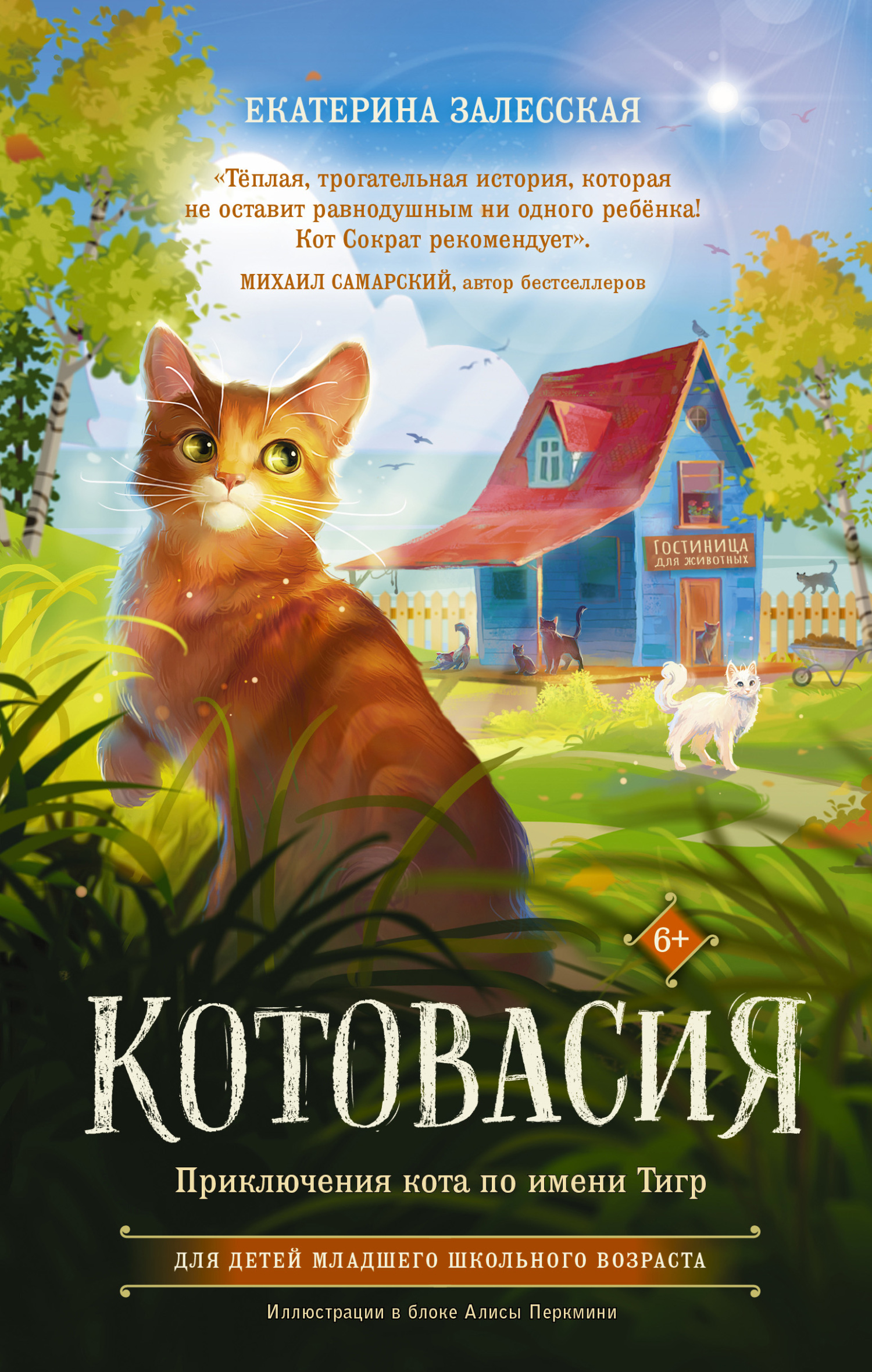 читать Котовасия. Приключения кота по имени Тигр