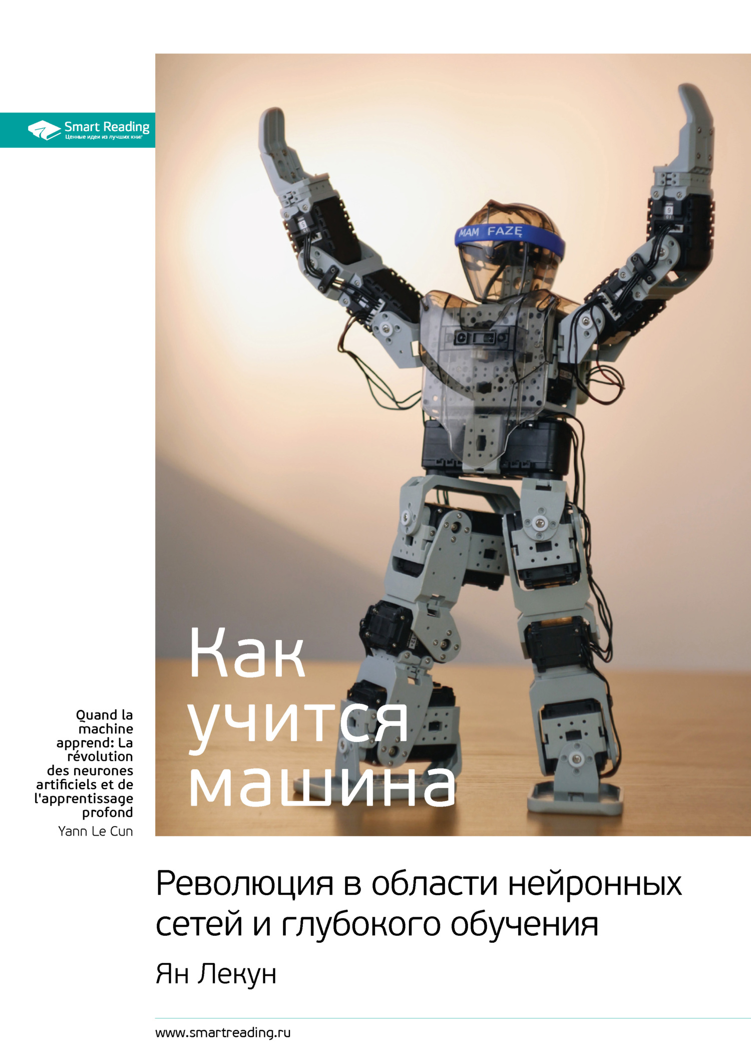 читать Ключевые идеи книги: Как учится машина. Революция в области нейронных сетей и глубокого обучения. Ян Лекун