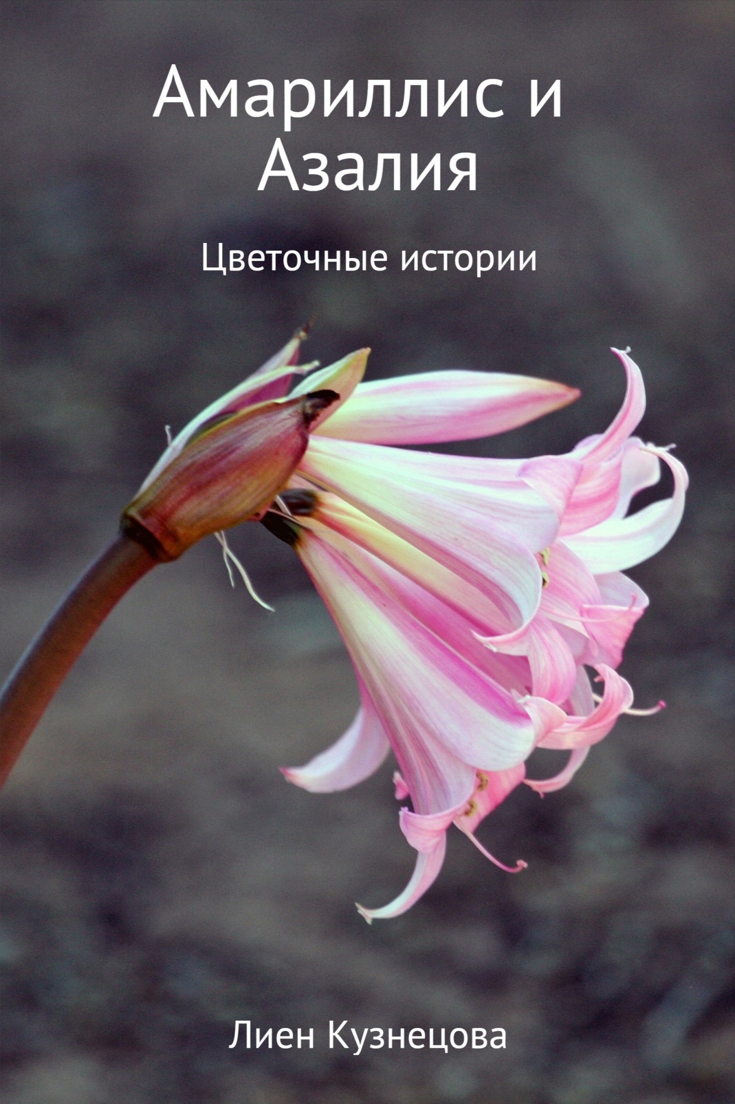 читать Цветочные истории. Амариллис и Азалия