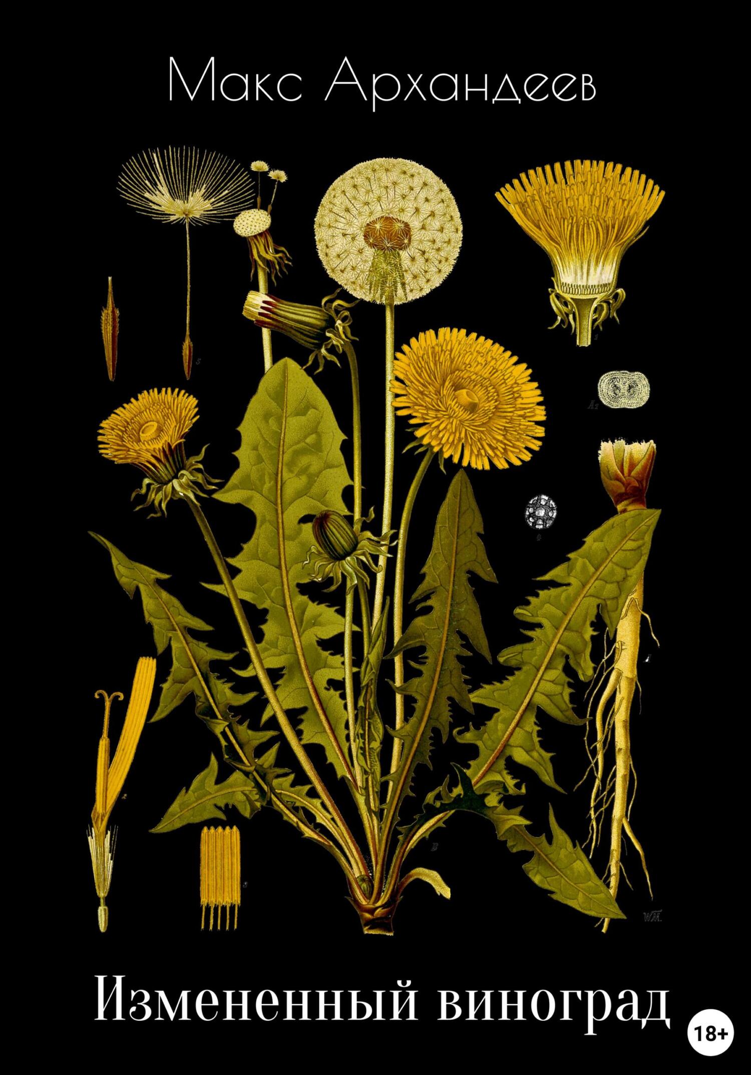 читать Измененный виноград