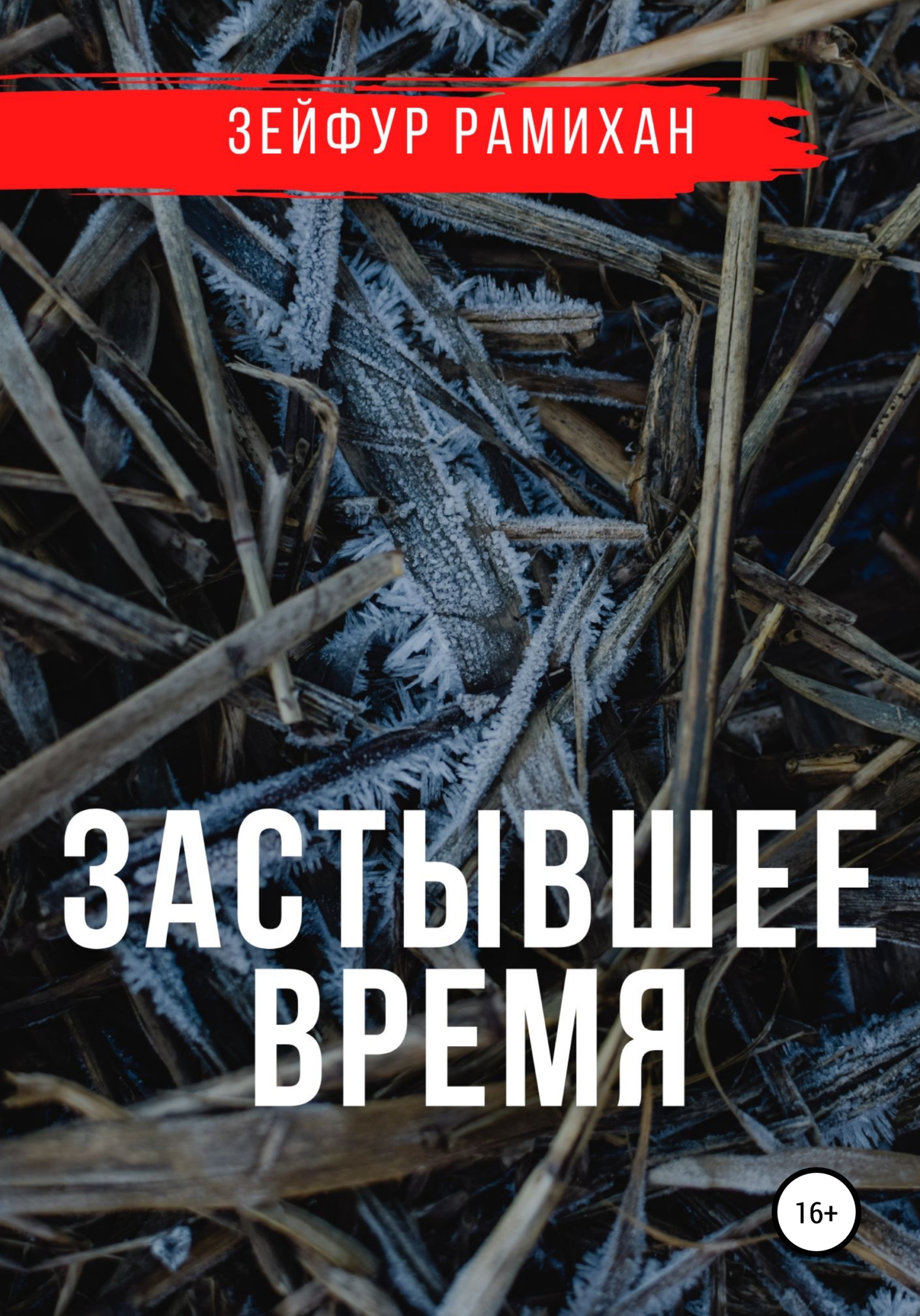 читать Застывшее время