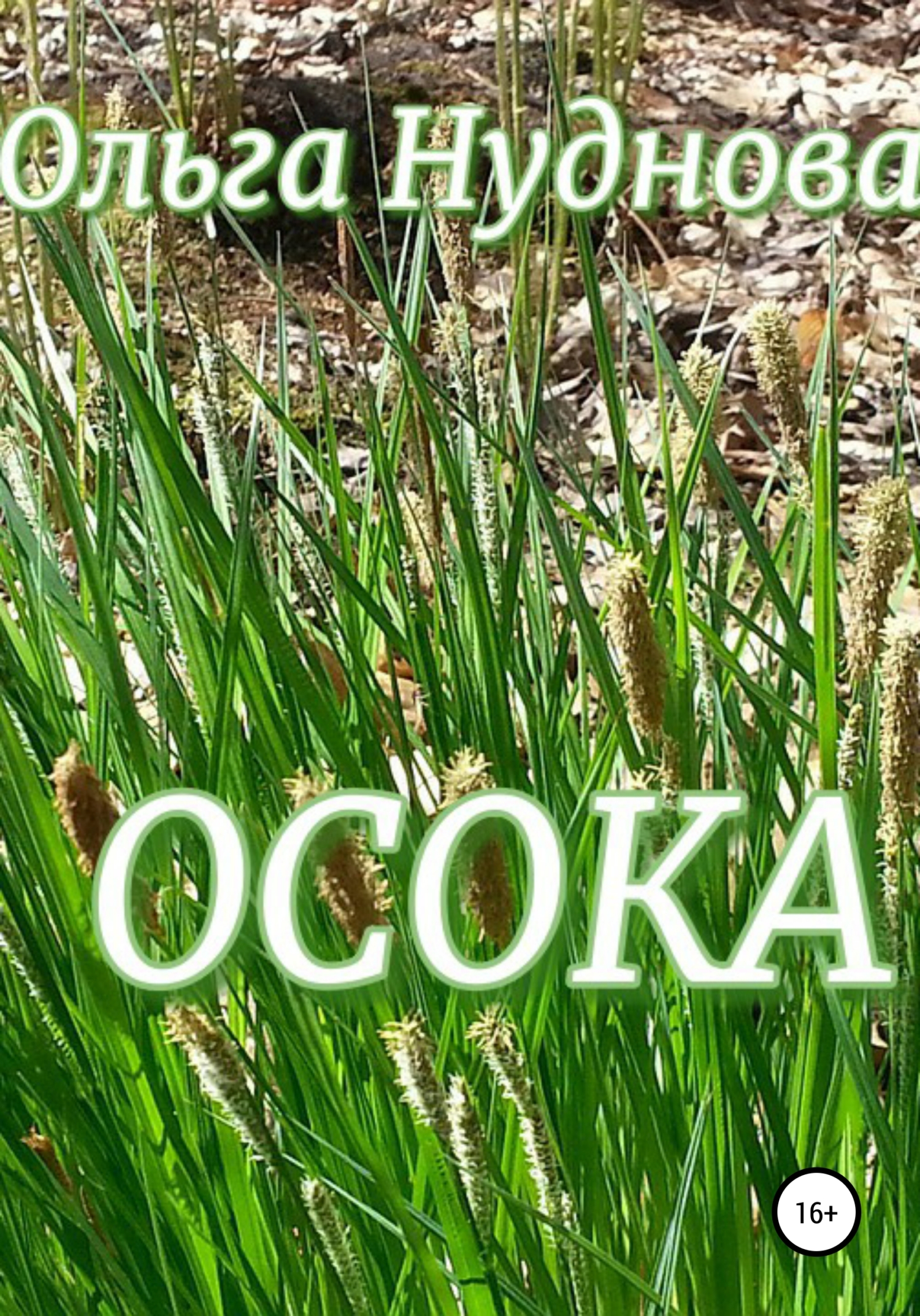 читать Осока