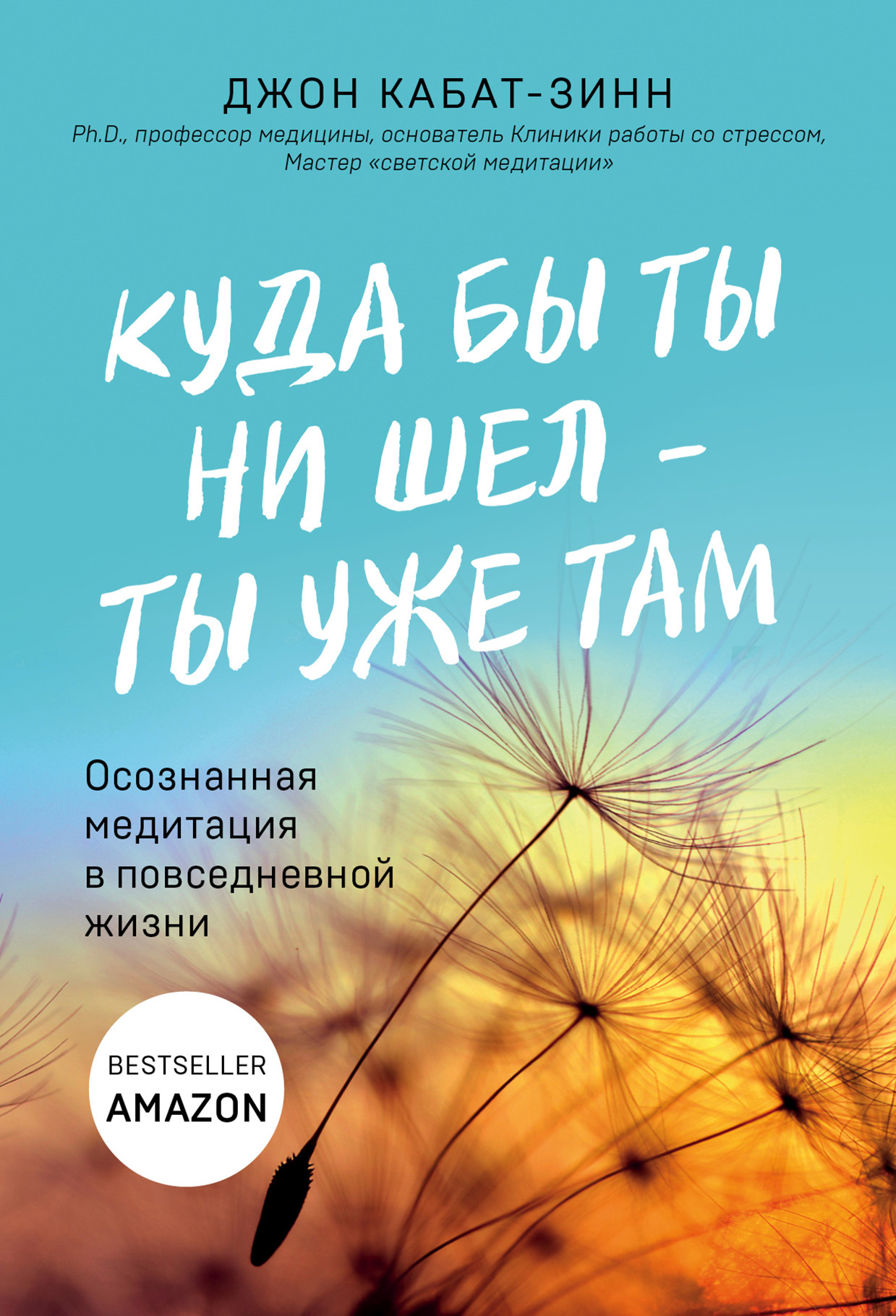читать Куда бы ты ни шел – ты уже там. Осознанная медитация в повседневной жизни