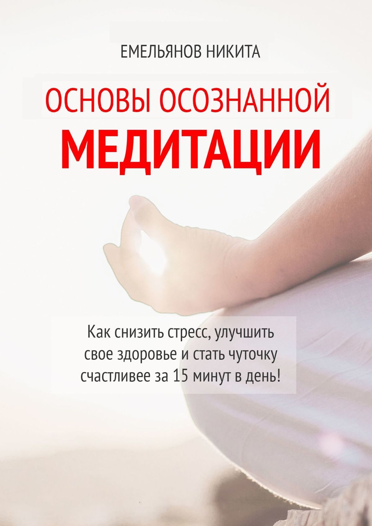 читать Основы осознанной медитации